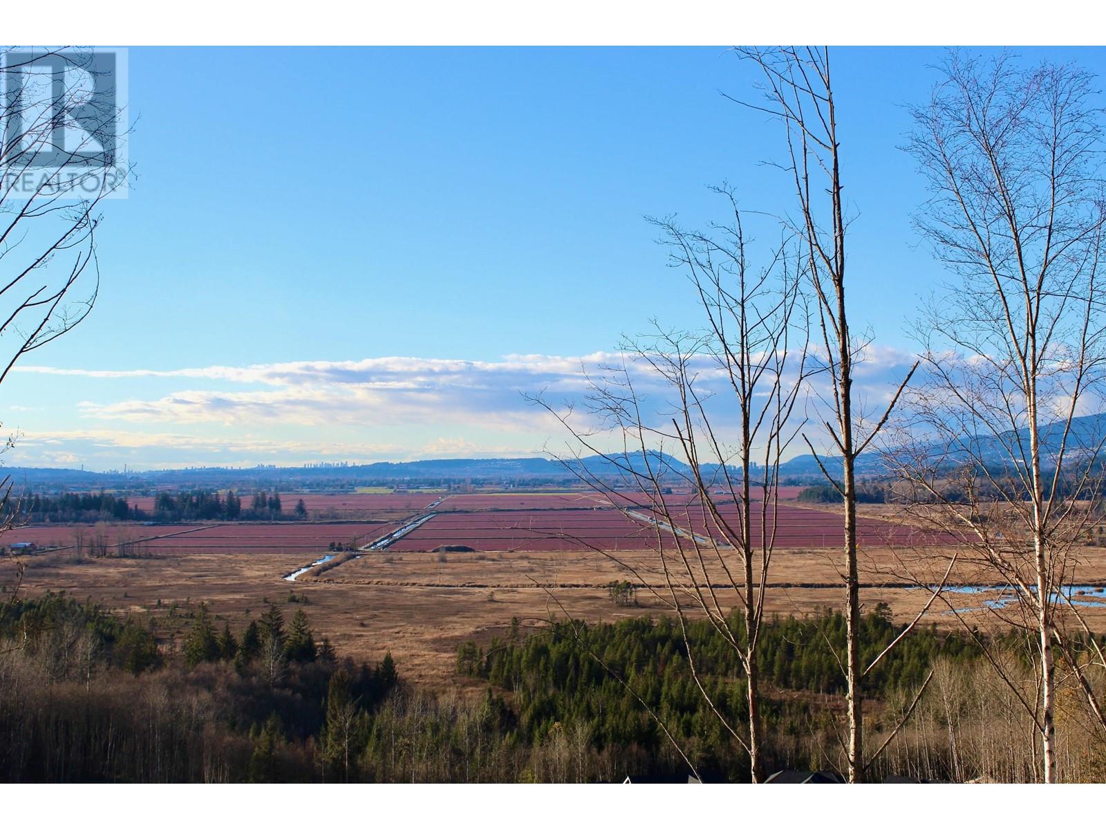 14095 232 Street, Maple Ridge, British Columbia  V4R 0G9 - Photo 3 - R2821126