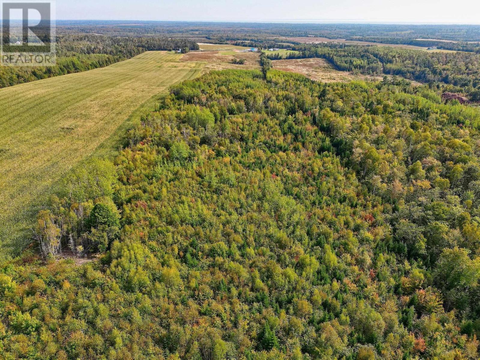 Acreage Culloden Road, Mount Vernon, Prince Edward Island  C0A 1B0 - Photo 7 - 202320733