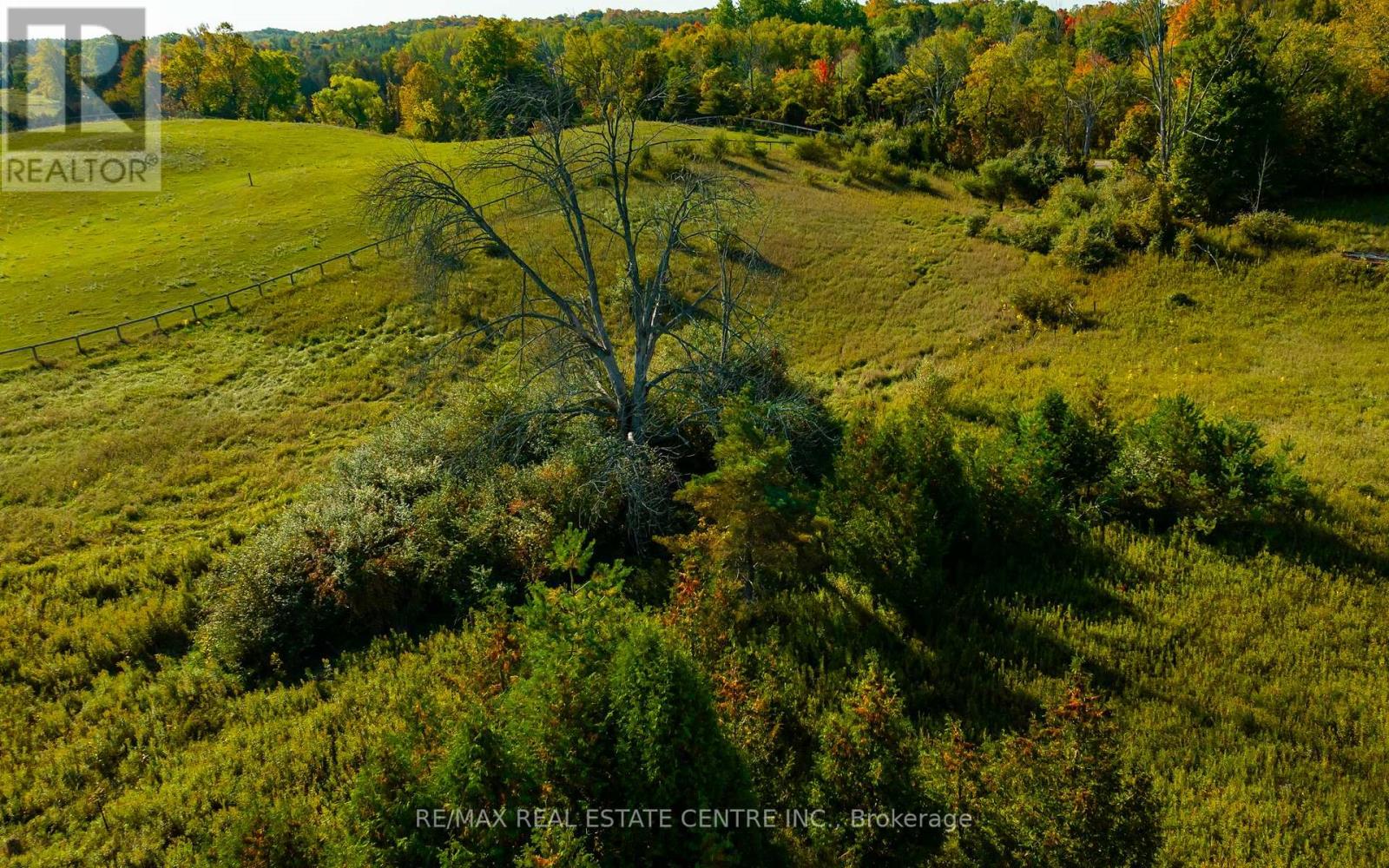 0 The Gore Rd, Caledon, Ontario  L7E 0X6 - Photo 12 - W7055858