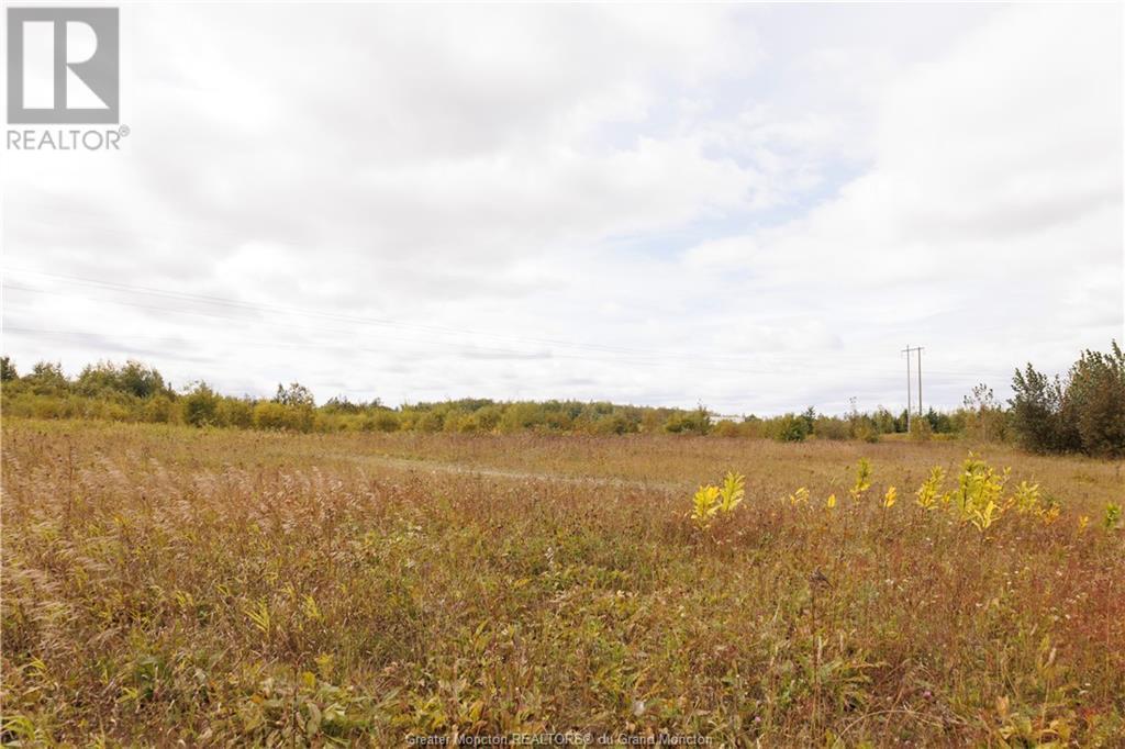 651 Main St, Grand Sault, New Brunswick  E3Z 2W6 - Photo 13 - M147211