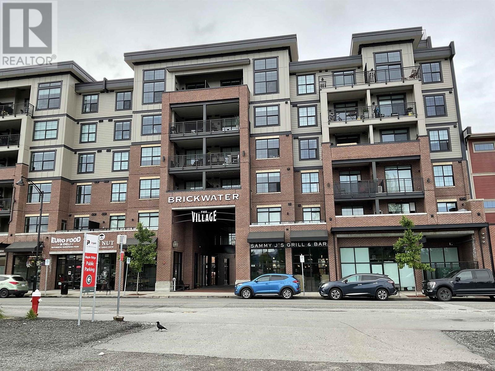 509 22638 119 AVENUE, maple ridge, British Columbia