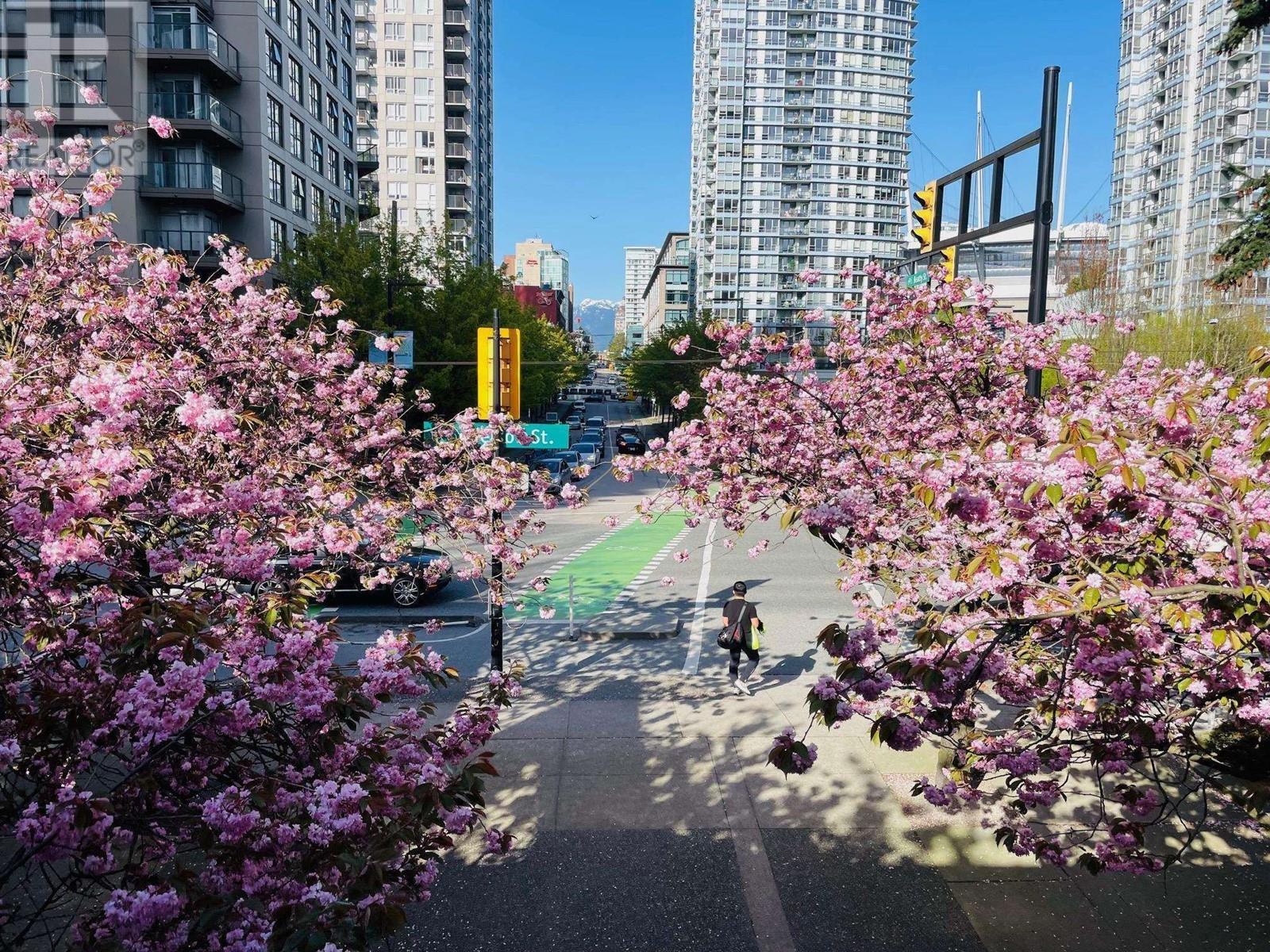 805 1018 Cambie Street, Vancouver, British Columbia  V6B 6J6 - Photo 17 - R2821956