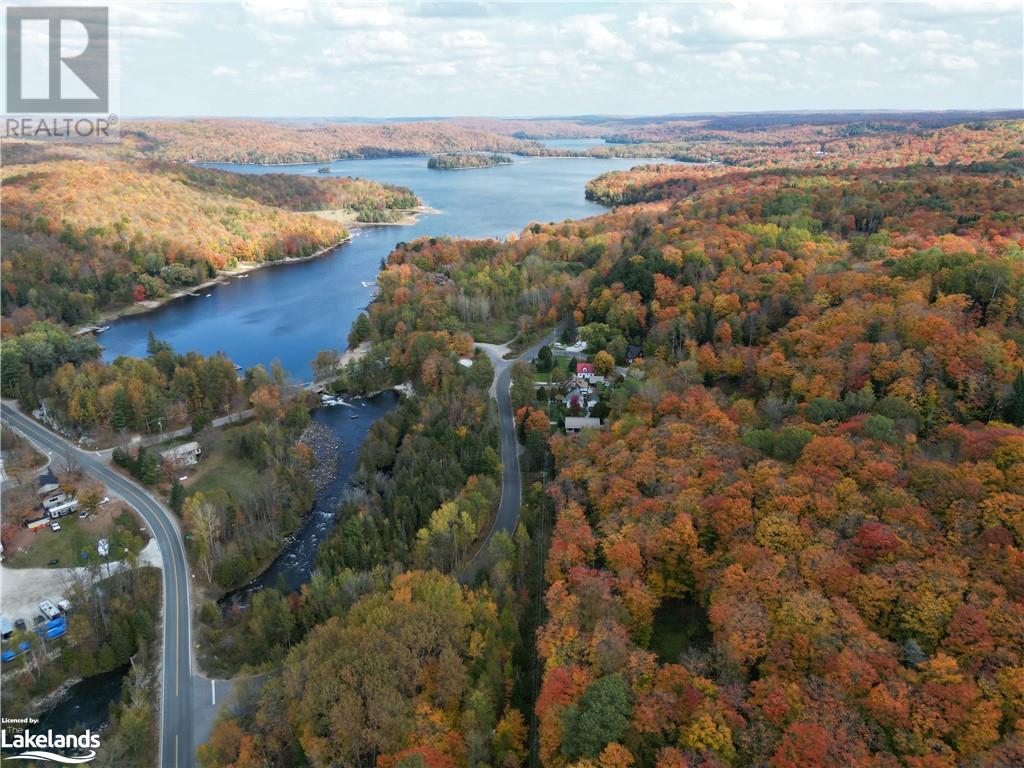 1019 Bushwolf Lake Road, West Guilford, Ontario  K0M 1S0 - Photo 6 - 40495584