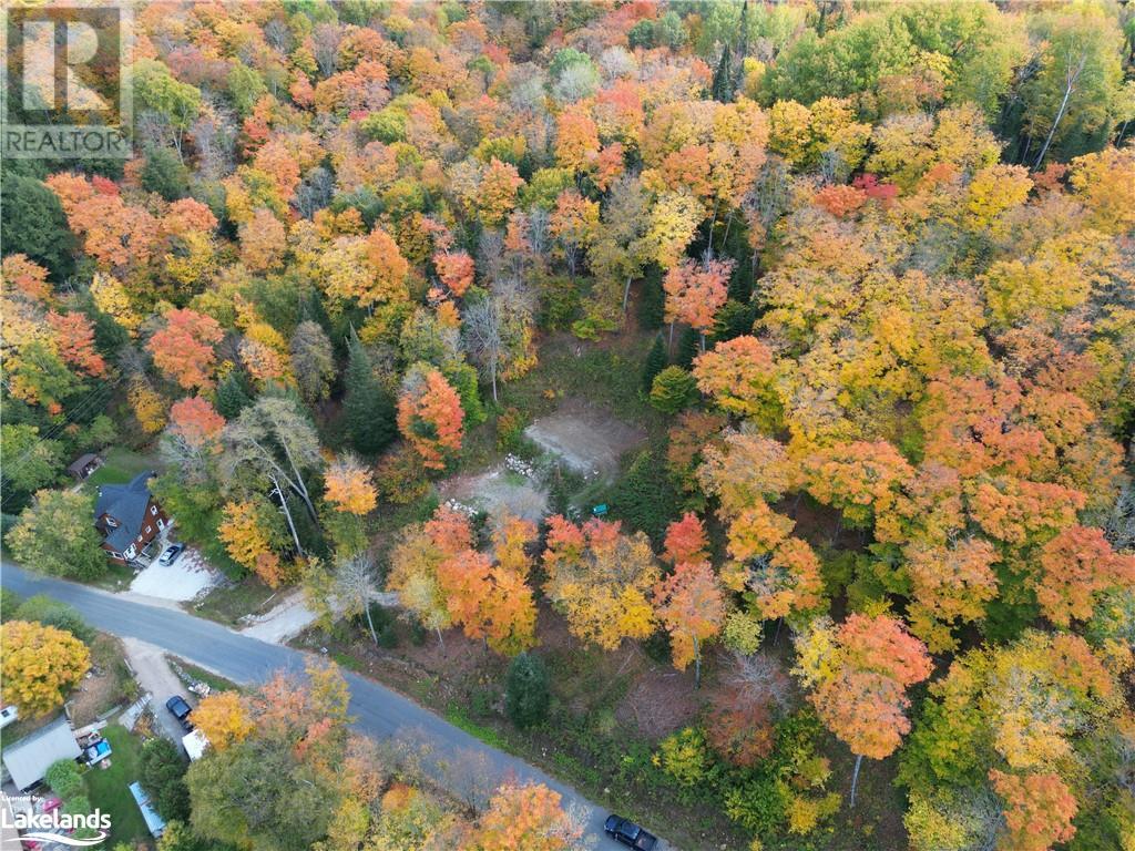 1019 Bushwolf Lake Road, West Guilford, Ontario  K0M 1S0 - Photo 9 - 40495584