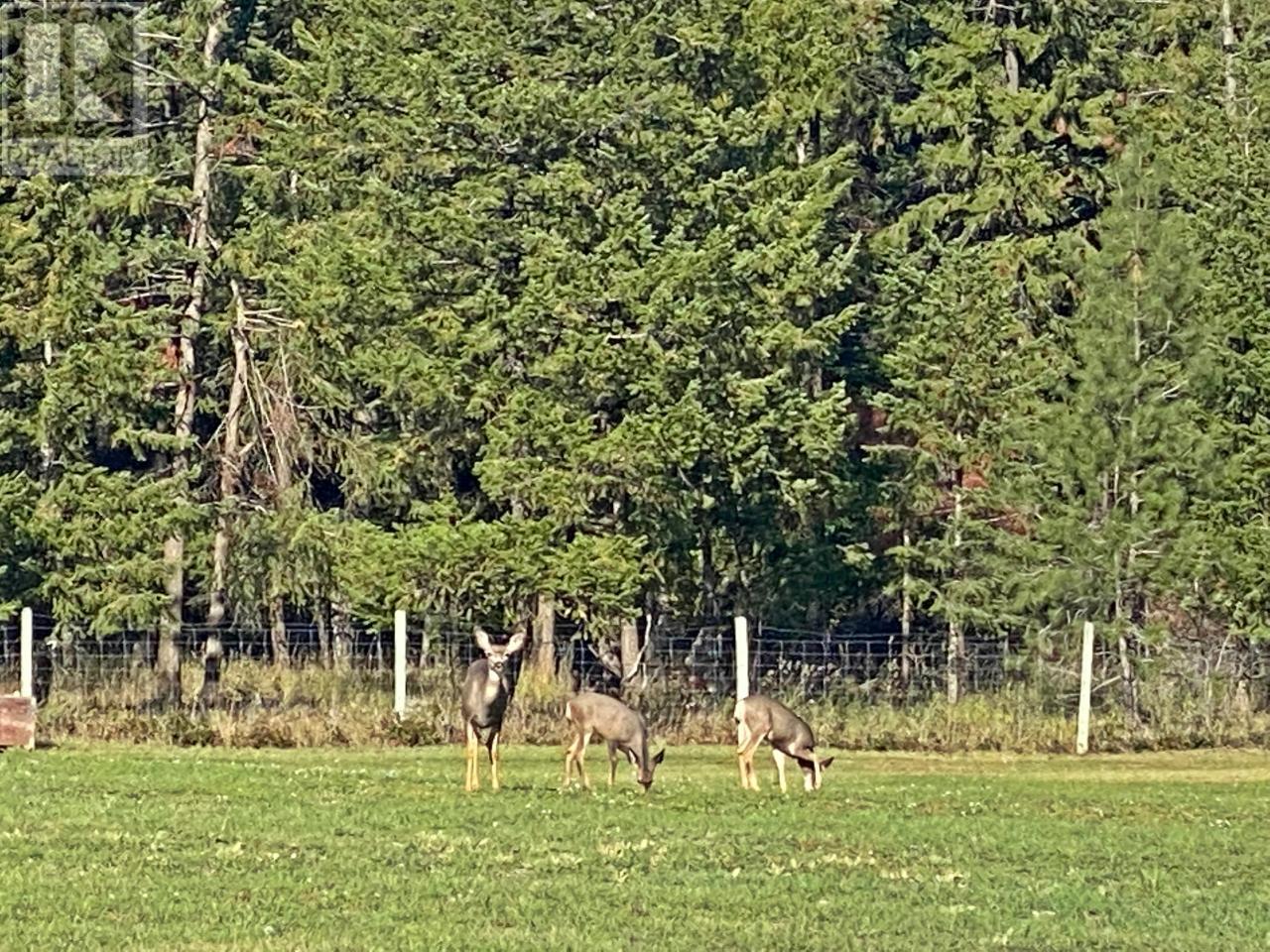 2 Mclure Ferry Road, Heffley, British Columbia  V0E 2H0 - Photo 11 - 174283