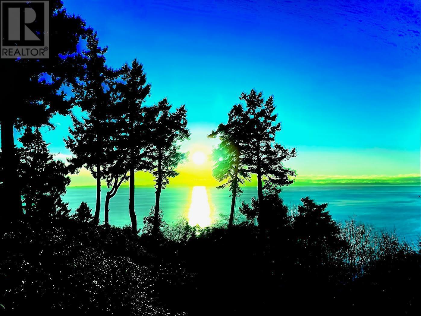 111 Graham Drive, Delta, British Columbia  V4M 2J4 - Photo 6 - R2822650