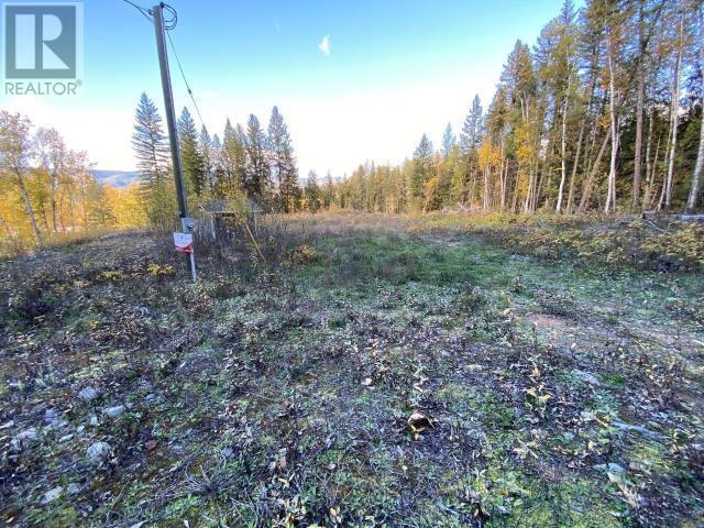 450 Dunn Lake Rd, Clearwater, British Columbia  V0E 1N0 - Photo 5 - 175284
