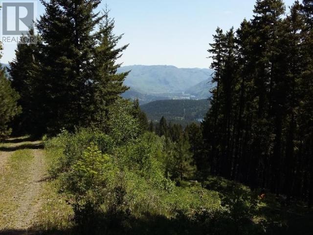 240 Acres Genier Lake Road, Barriere, British Columbia  V0E 1E0 - Photo 7 - 175286