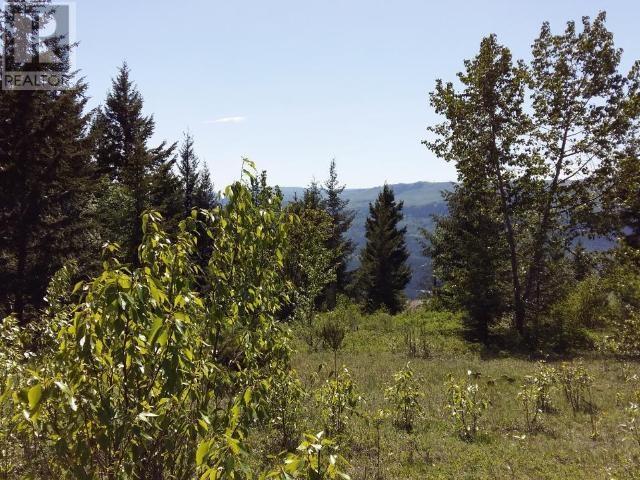 240 Acres Genier Lake Road, Barriere, British Columbia  V0E 1E0 - Photo 4 - 175286