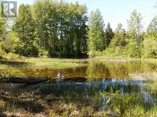 240 Acres Genier Lake Road, Barriere, British Columbia  V0E 1E0 - Photo 5 - 175286