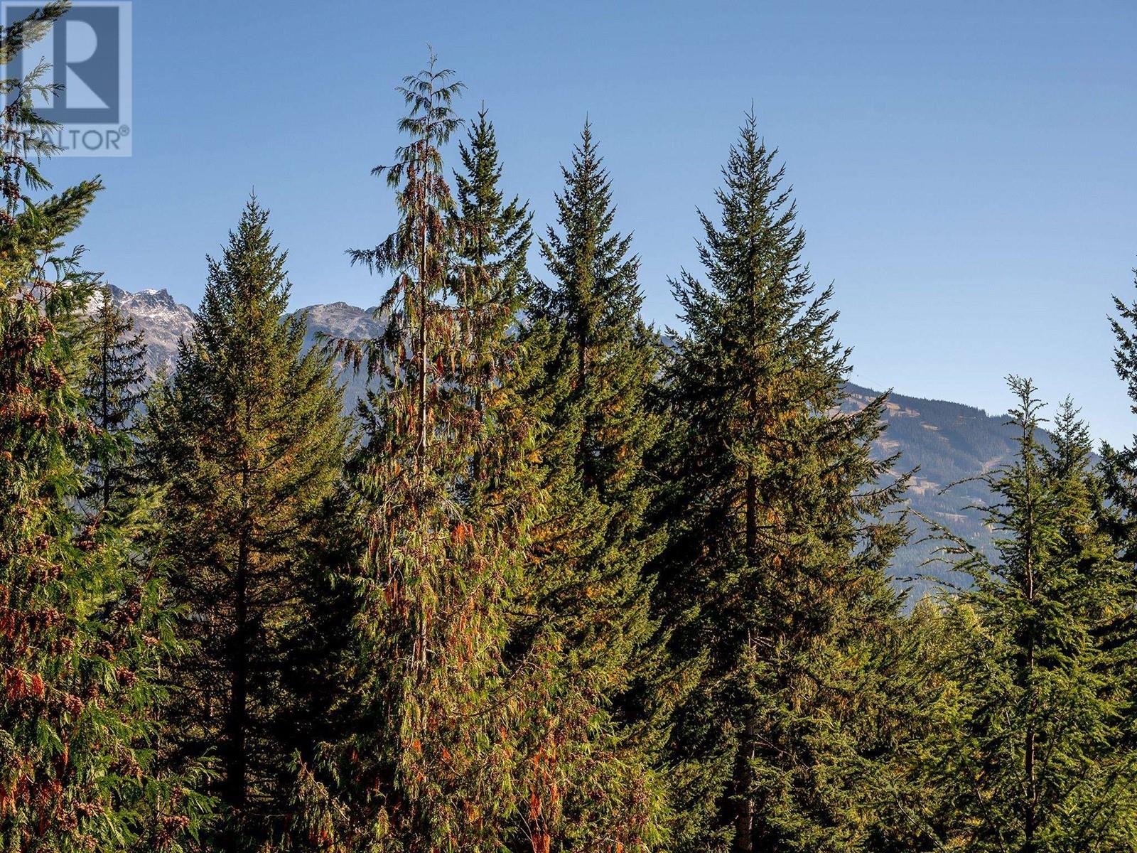 8239 Mountain View Drive, Whistler, British Columbia  V8E 0G3 - Photo 17 - R2823019