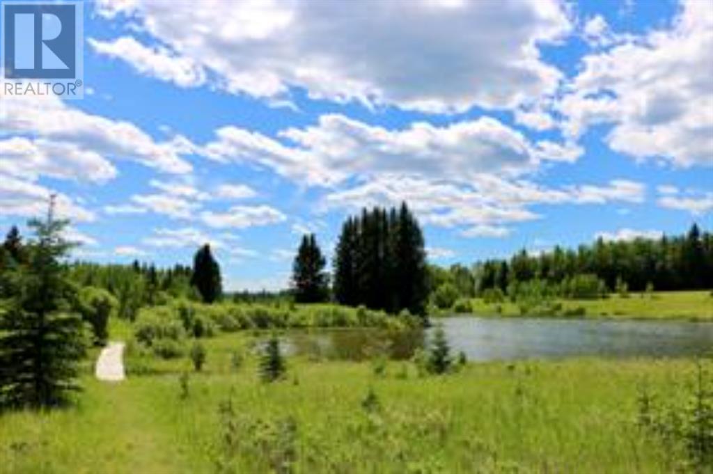 175 Woodfrog Way, Rural Mountain View County, Alberta  T0M 1X0 - Photo 3 - A2016010