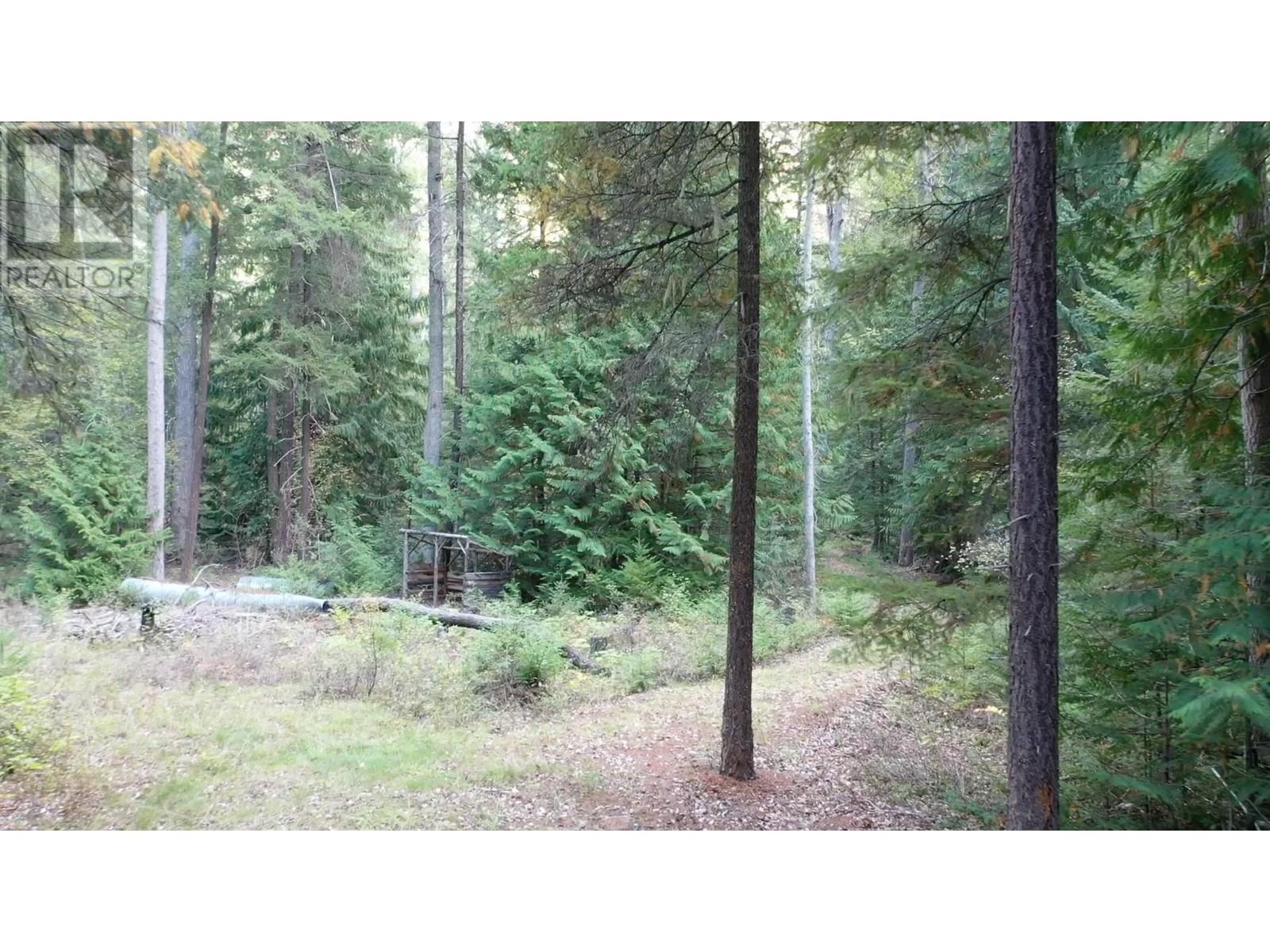 Km 77 Duffey Lake Road, Pemberton, British Columbia  V0N 2L1 - Photo 9 - R2823326