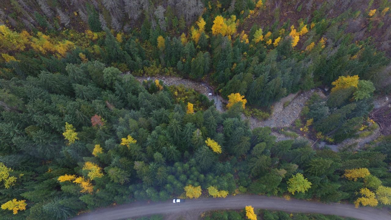 Dl 10004 Sheep Creek Road, Salmo, British Columbia  V0G 1Z0 - Photo 2 - 2473625