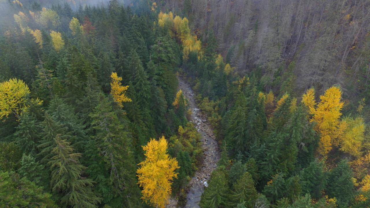 Dl 10004 Sheep Creek Road, Salmo, British Columbia  V0G 1Z0 - Photo 6 - 2473625