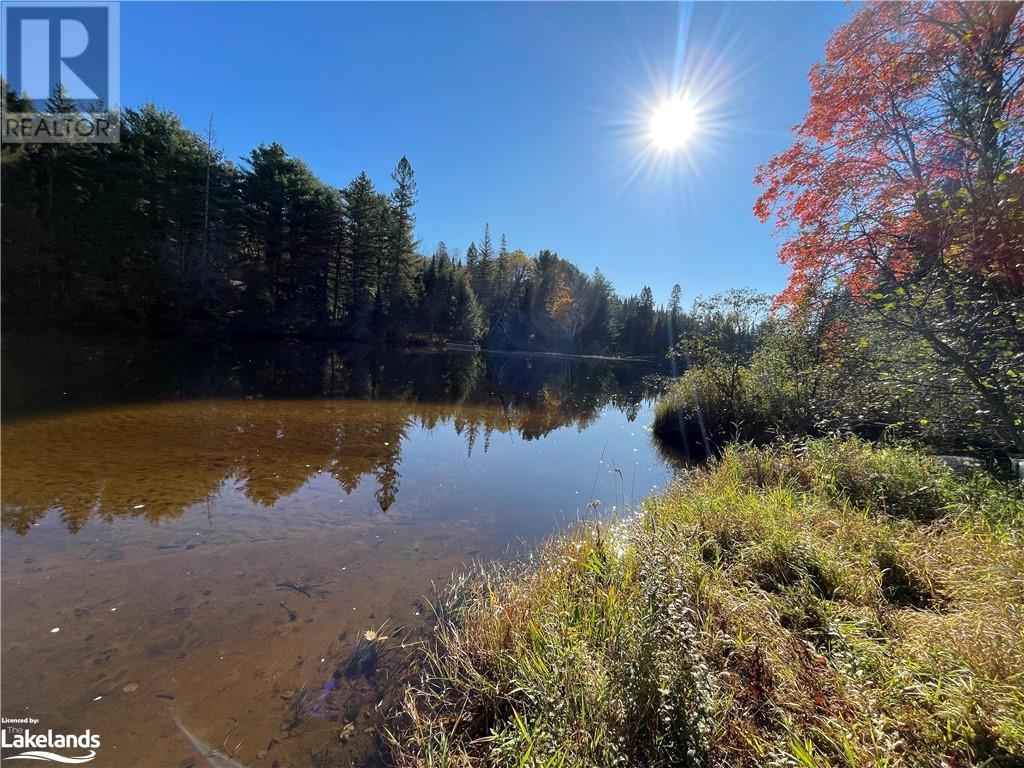 34 Hiawatha Drive, Port Sydney, Ontario P0B 1L0 (26157884)