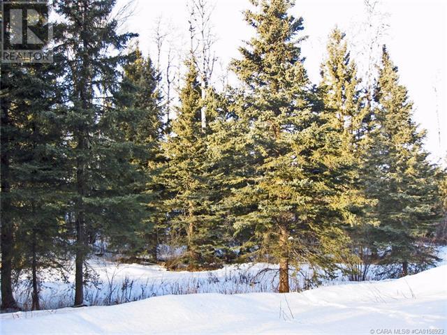 4 Forrest Close, Rural Clearwater County, Alberta  T4T 2A4 - Photo 5 - A2086790