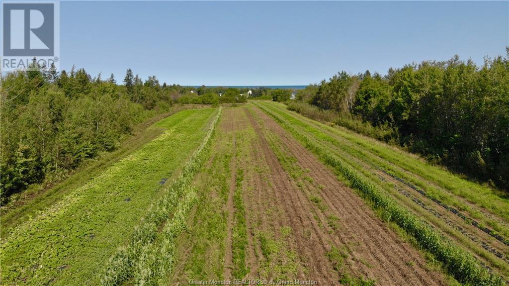 2359 Acadie, Bas Cap Pele, New Brunswick  E4N 1B3 - Photo 9 - M155676