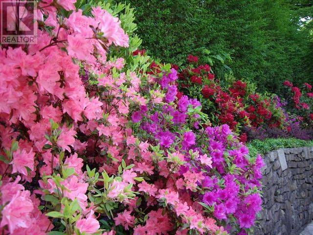 1712 Cedar Crescent, Vancouver, British Columbia  V6J 2R2 - Photo 37 - R2821850