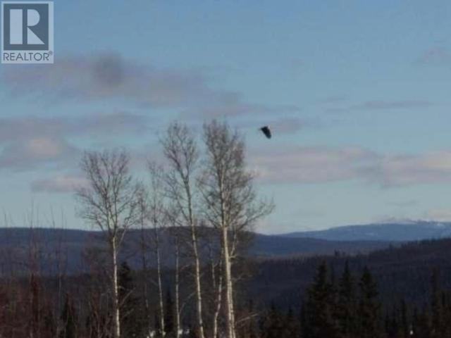 Lot 1075 Nisutlin Bay Yukon Estate, Teslin, Yukon  Y0A 1B0 - Photo 19 - 15260