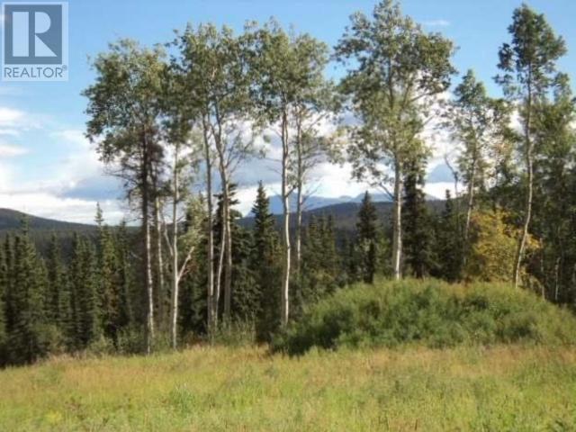 Property at LOT 1075 NISUTLIN BAY YUKON ESTATE image 2