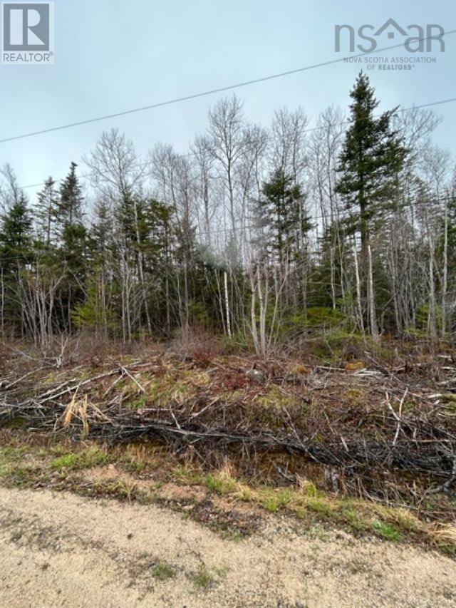 Lot53b Russell Road, New Russell, Nova Scotia  B0J 2M0 - Photo 1 - 202308068