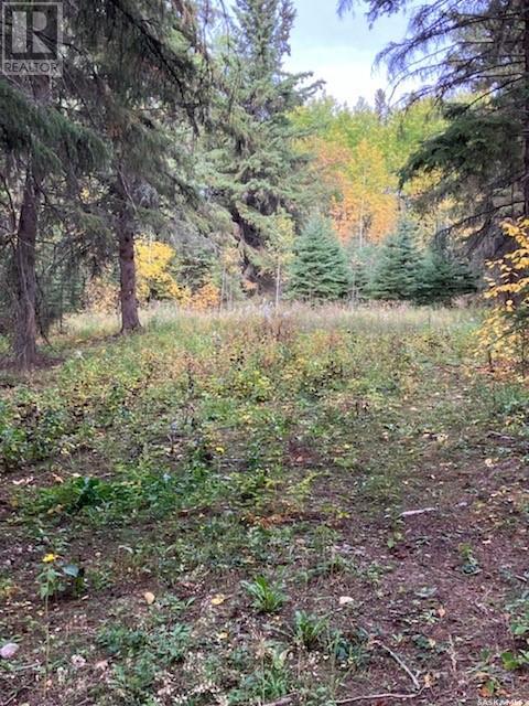 Turtle Lake Development Land, Mervin Rm No.499, Saskatchewan  S0M 1J0 - Photo 2 - SK946127