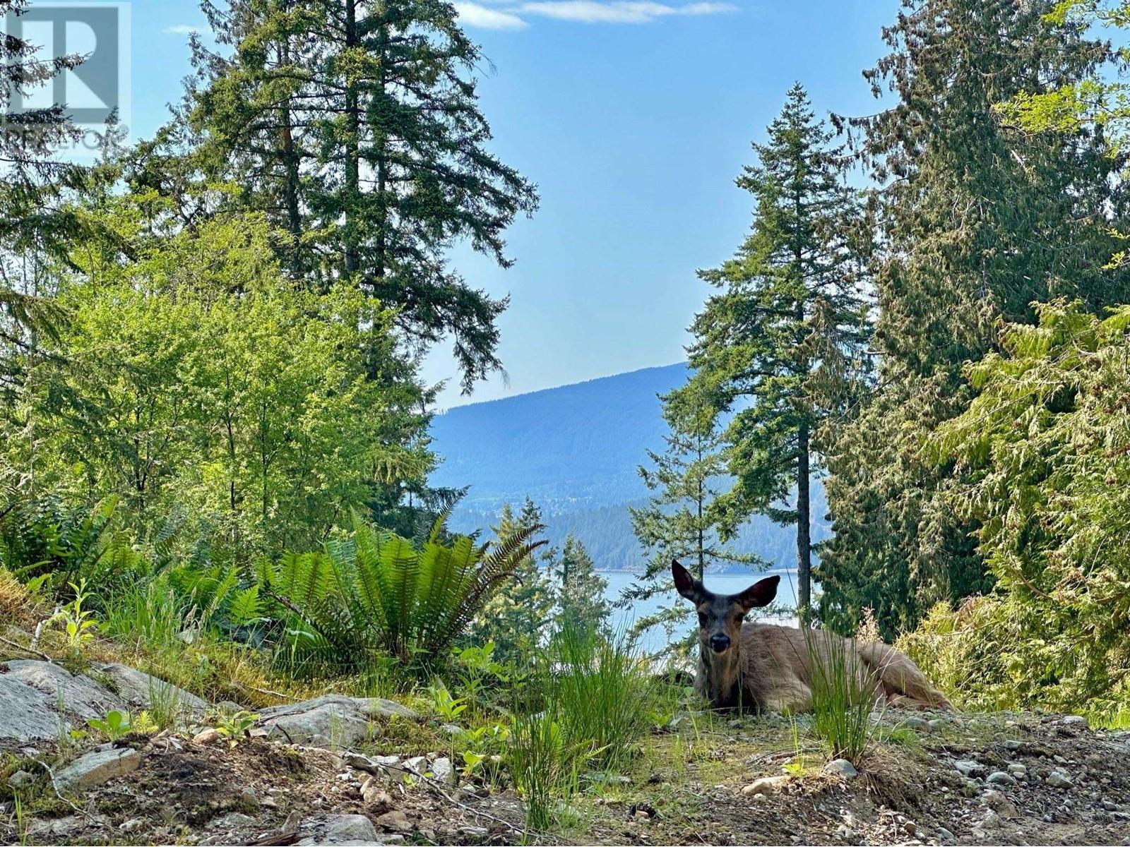 839 Windjammer Road, Bowen Island, British Columbia  V0N 1G2 - Photo 11 - R2822656