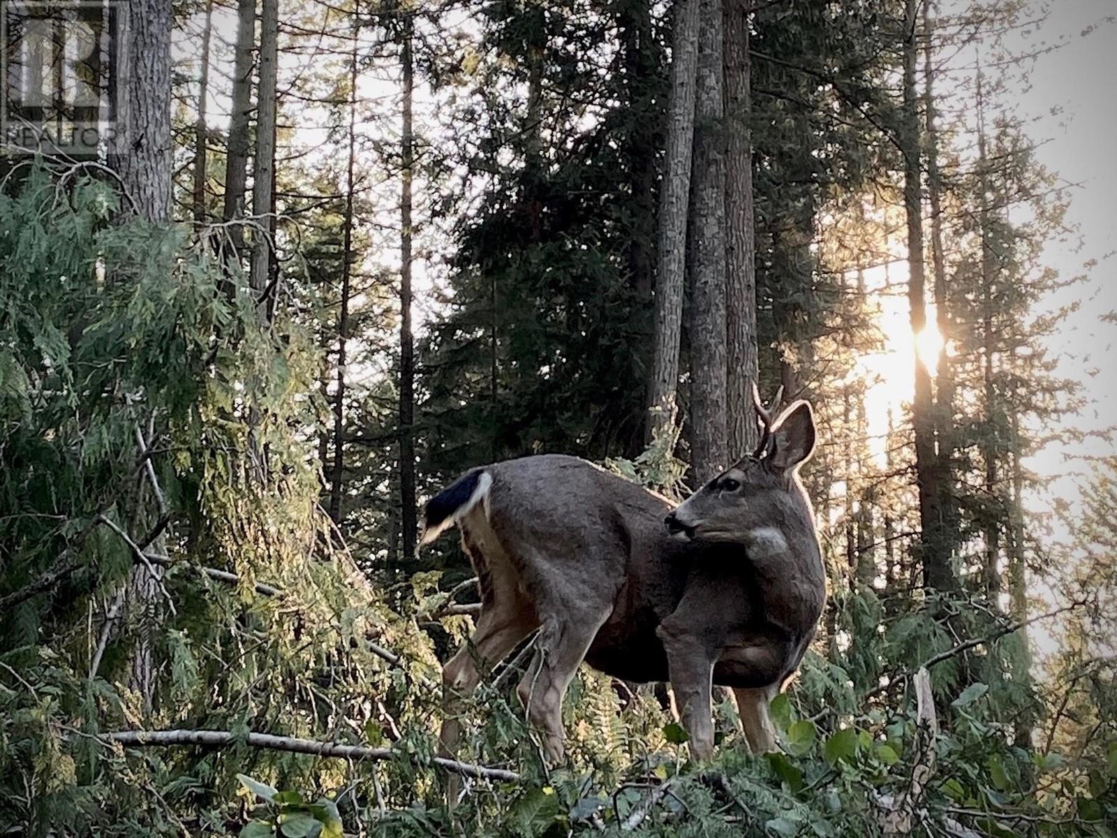 839 Windjammer Road, Bowen Island, British Columbia  V0N 1G2 - Photo 21 - R2822656