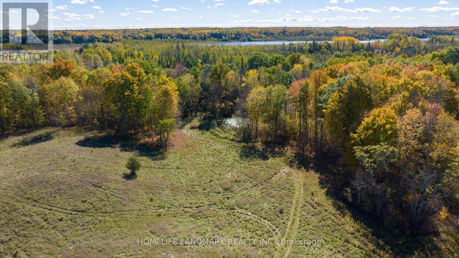 4008 & 4088 Moneymore Rd, Tweed, Ontario  K0K 2L0 - Photo 17 - X7217872