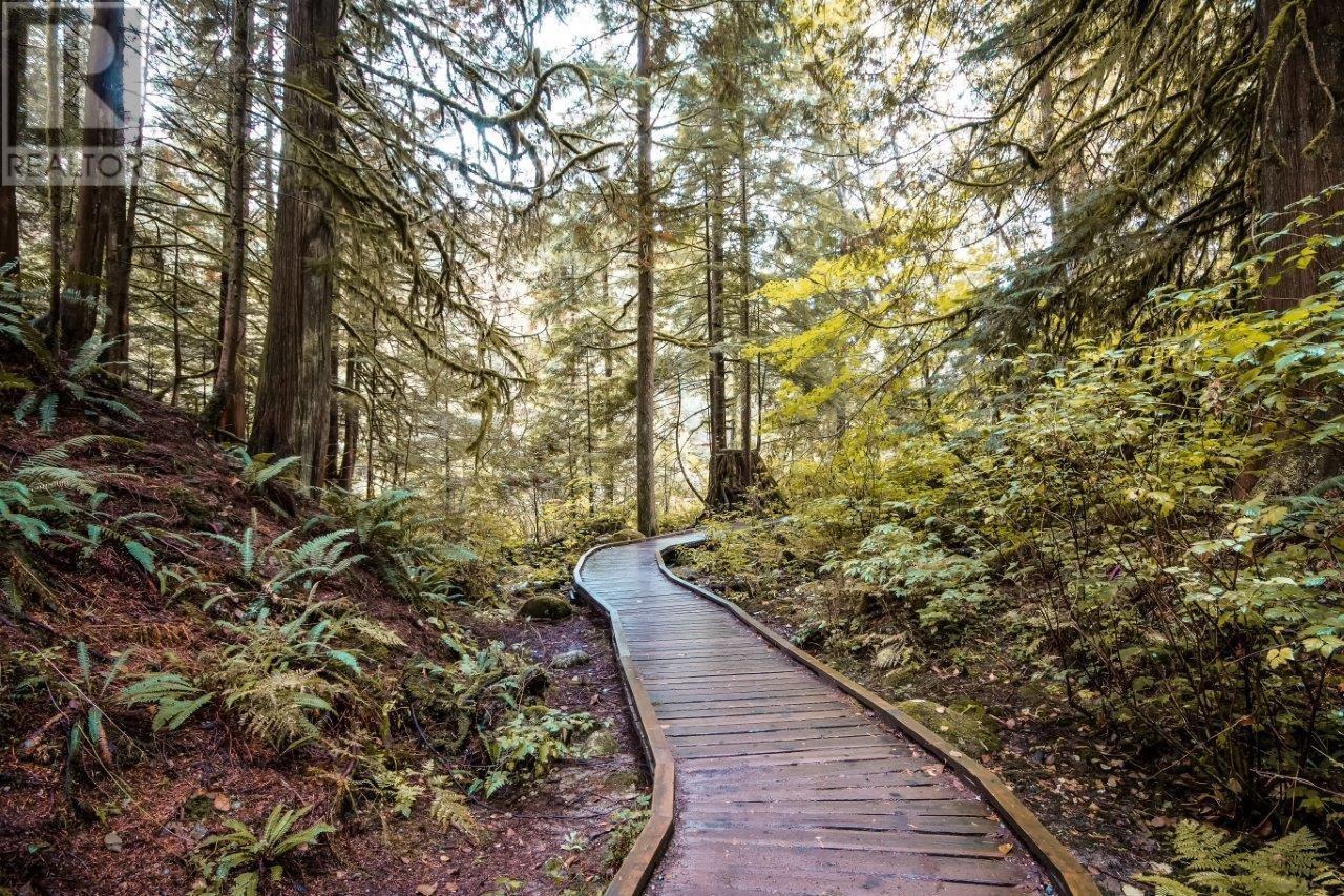 3178 Mountain Highway, North Vancouver, British Columbia  V7K 2H5 - Photo 19 - R2824886