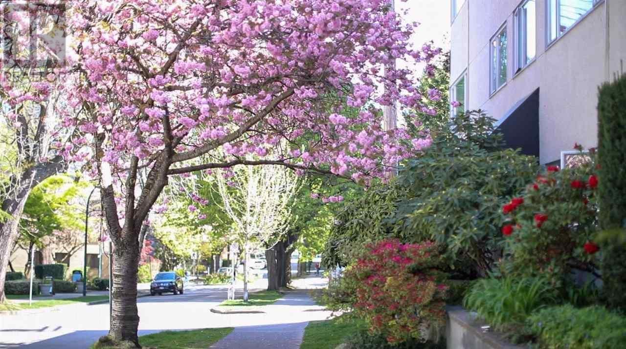 303 1050 JERVIS STREET, vancouver, British Columbia