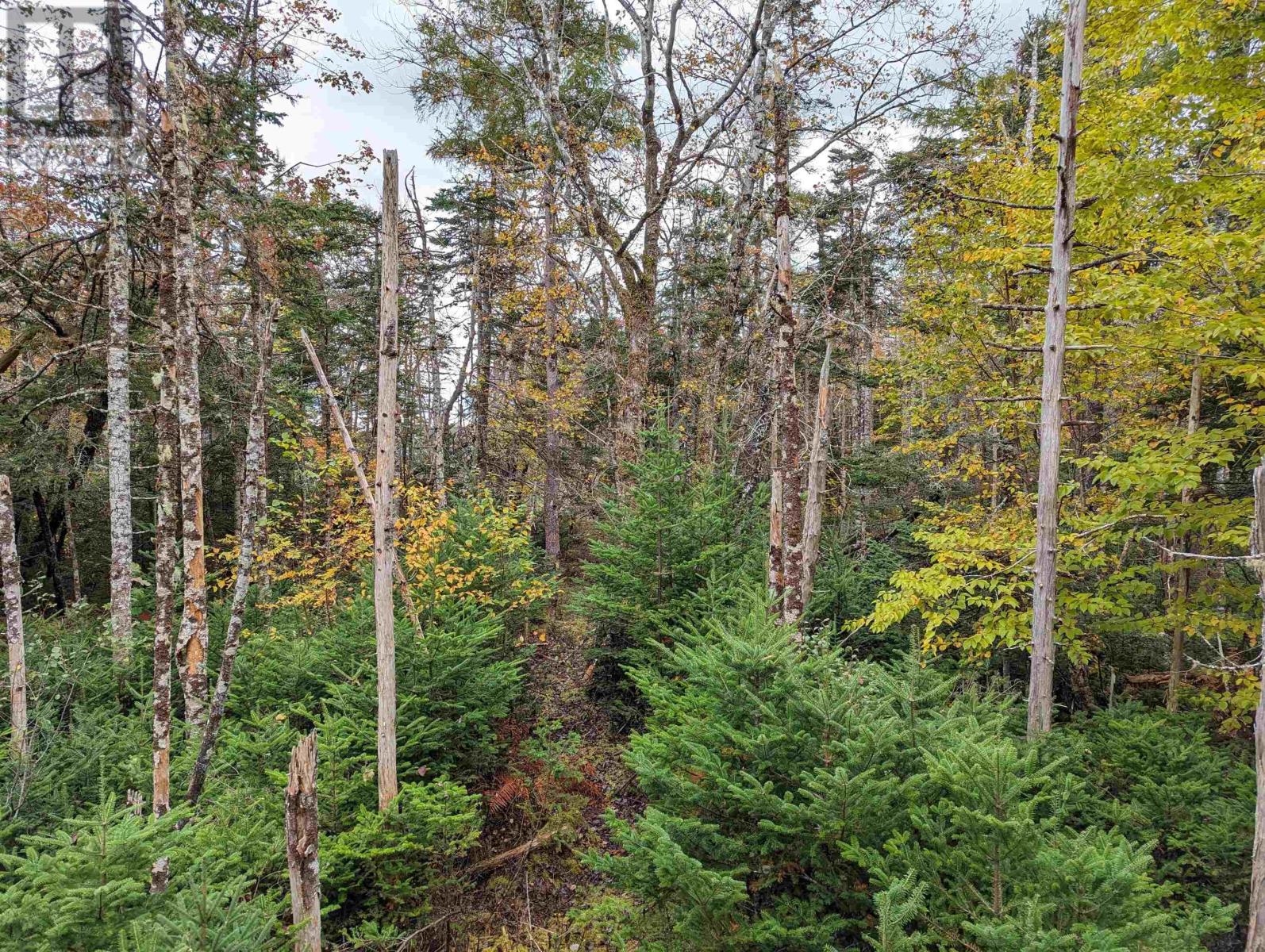 Rb-1 Prospect Road, Hatchet Lake, Nova Scotia  B3T 1P9 - Photo 7 - 202322038