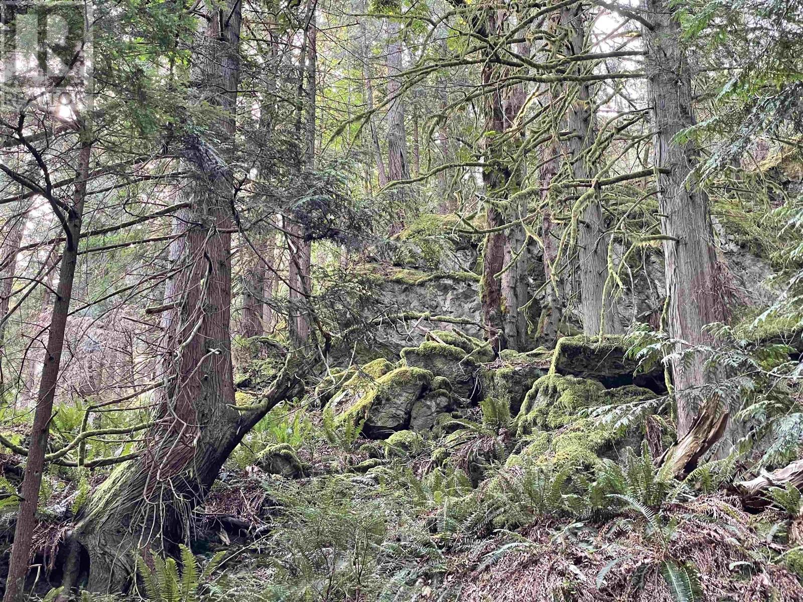 1558 Mount Gardner Road, Bowen Island, British Columbia  V0N 1G2 - Photo 31 - R2813825