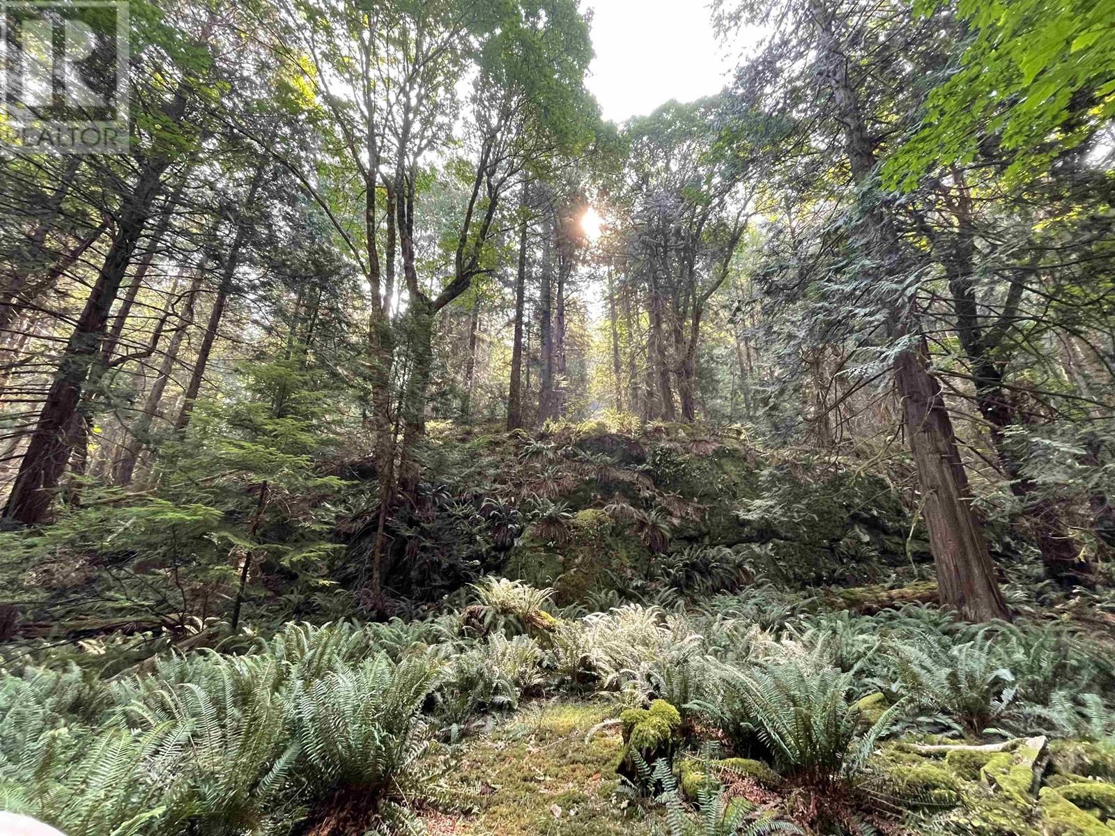 1558 Mount Gardner Road, Bowen Island, British Columbia  V0N 1G2 - Photo 30 - R2813825