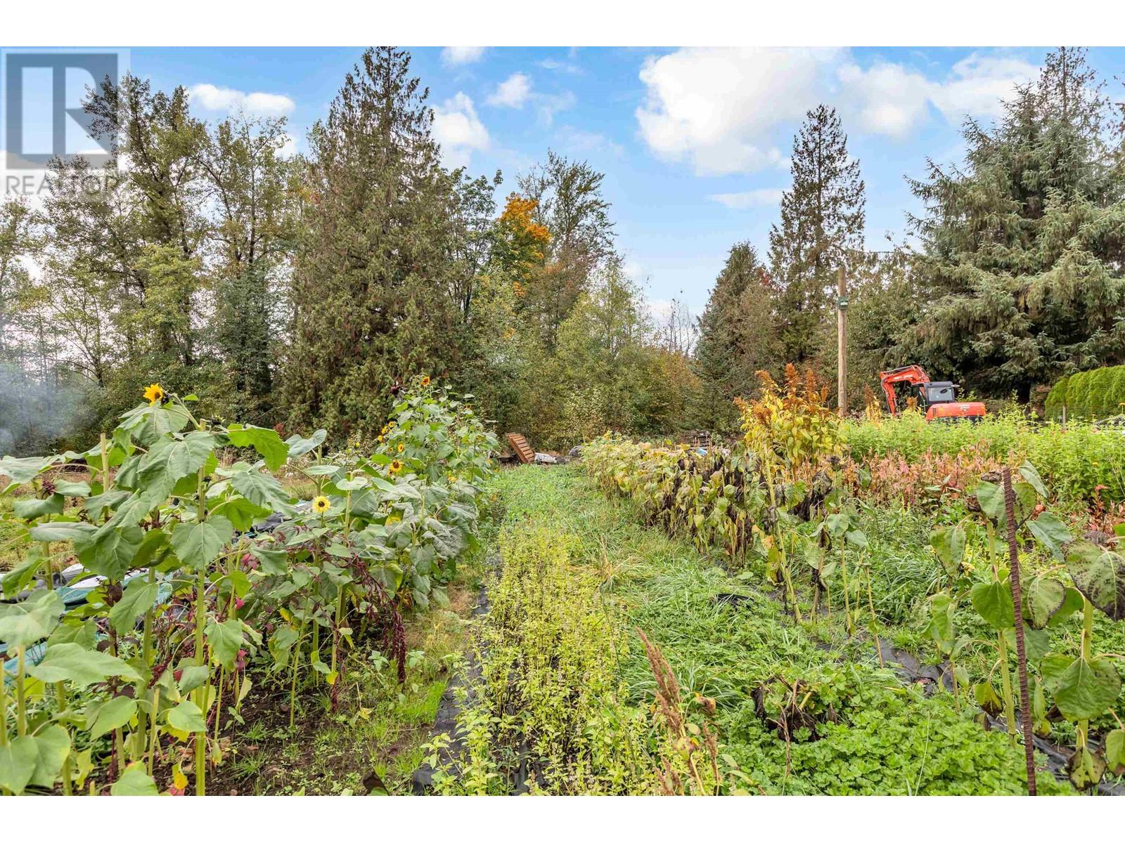 10543 277 Street, Maple Ridge, British Columbia  V2W 1M7 - Photo 27 - R2825649