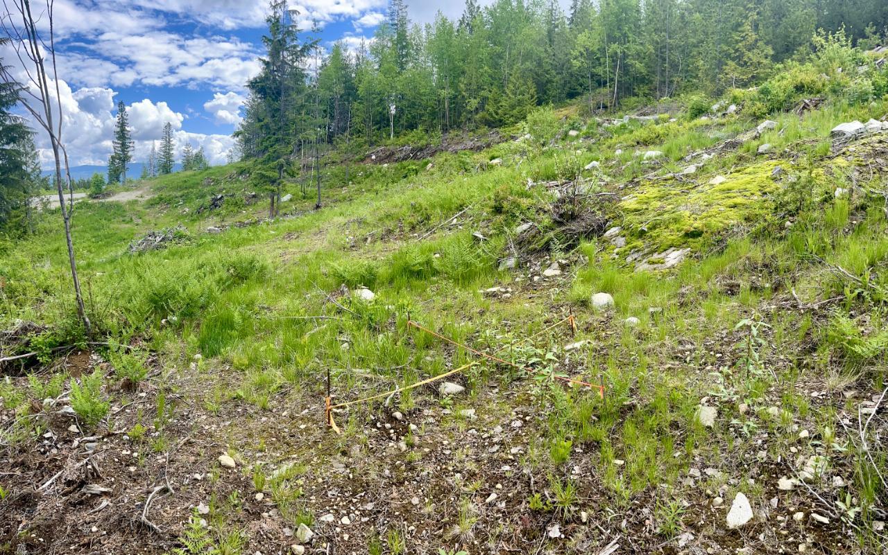 Lot A Richie Road, Rossland, British Columbia  V0G 1Y0 - Photo 31 - 2465729