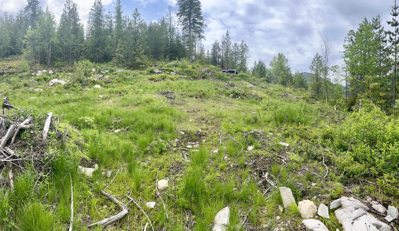 Lot A Richie Road, Rossland, British Columbia  V0G 1Y0 - Photo 28 - 2465729