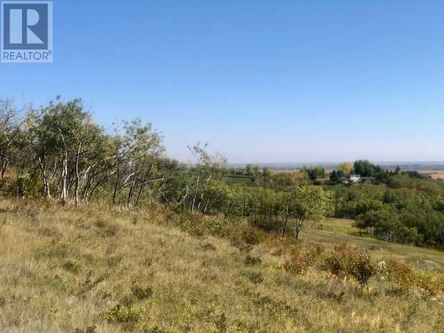 64243 306 Avenue W, Rural Foothills County, Alberta  T1S 1A2 - Photo 37 - A2084031