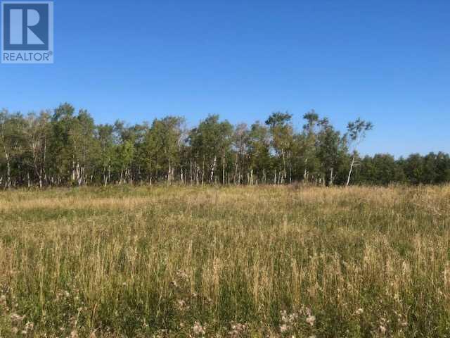 306 Avenue W, Rural Foothills County, Alberta  T2S 1A2 - Photo 26 - A2084312