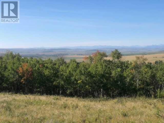306 Avenue W, Rural Foothills County, Alberta  T2S 1A2 - Photo 33 - A2084312