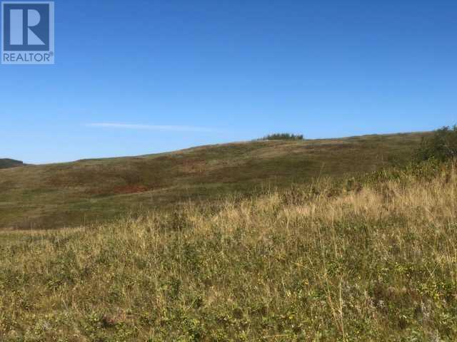 306 Avenue W, Rural Foothills County, Alberta  T2S 1A2 - Photo 31 - A2084312
