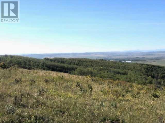 306 Avenue W, Rural Foothills County, Alberta  T2S 1A2 - Photo 21 - A2084312