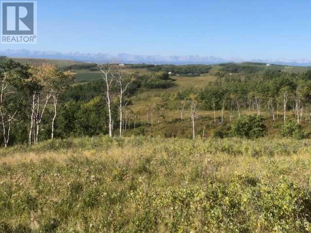 306 Avenue W, Rural Foothills County, Alberta  T2S 1A2 - Photo 34 - A2084312