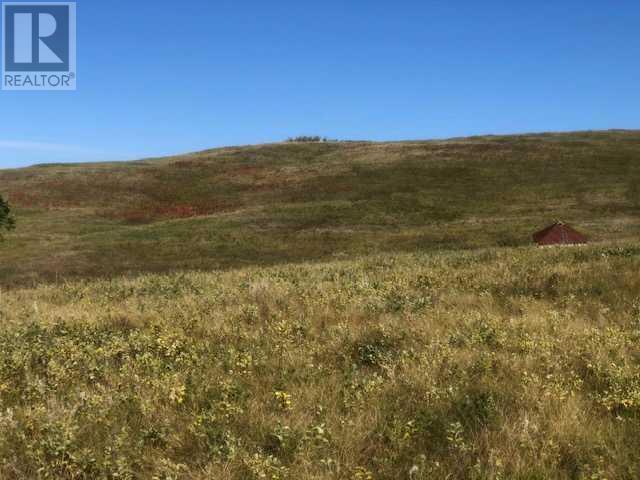 306 Avenue W, Rural Foothills County, Alberta  T2S 1A2 - Photo 15 - A2084312