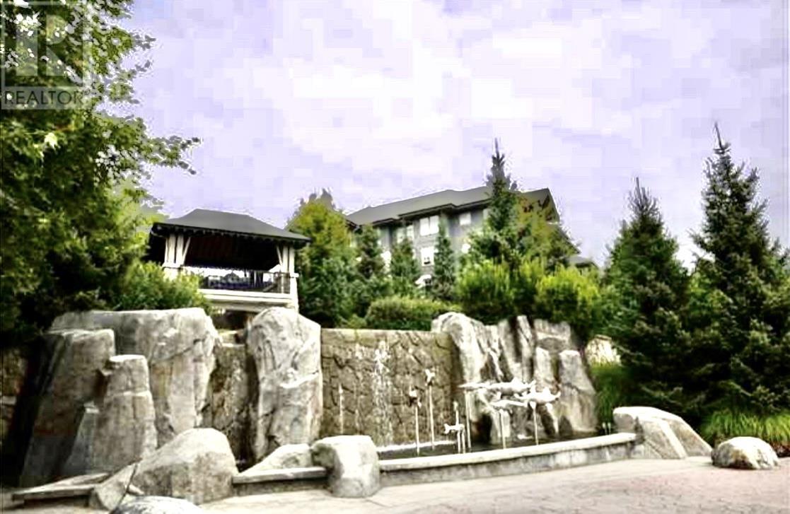 210 2998 Silver Springs Boulevard, Coquitlam, British Columbia  V3E 3R7 - Photo 21 - R2823033