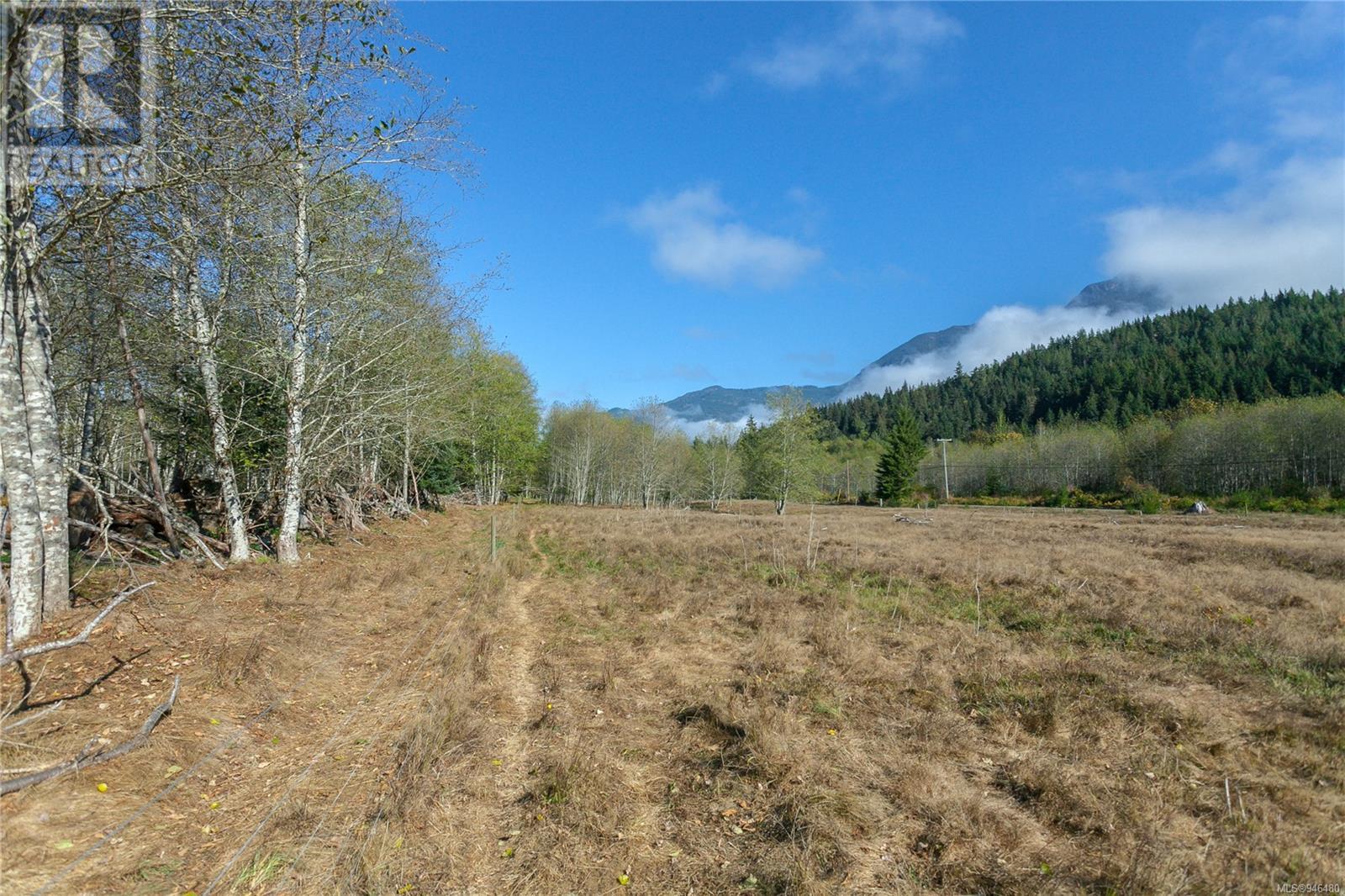 B 381 Armishaw Rd, Sayward, British Columbia  V0P 1R0 - Photo 47 - 946480