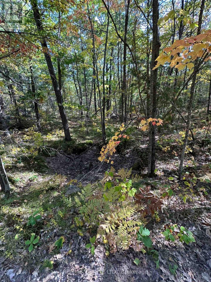 Lot 3 Concession 5, Addington Highlands, Ontario  K0H 1K0 - Photo 2 - X7231160