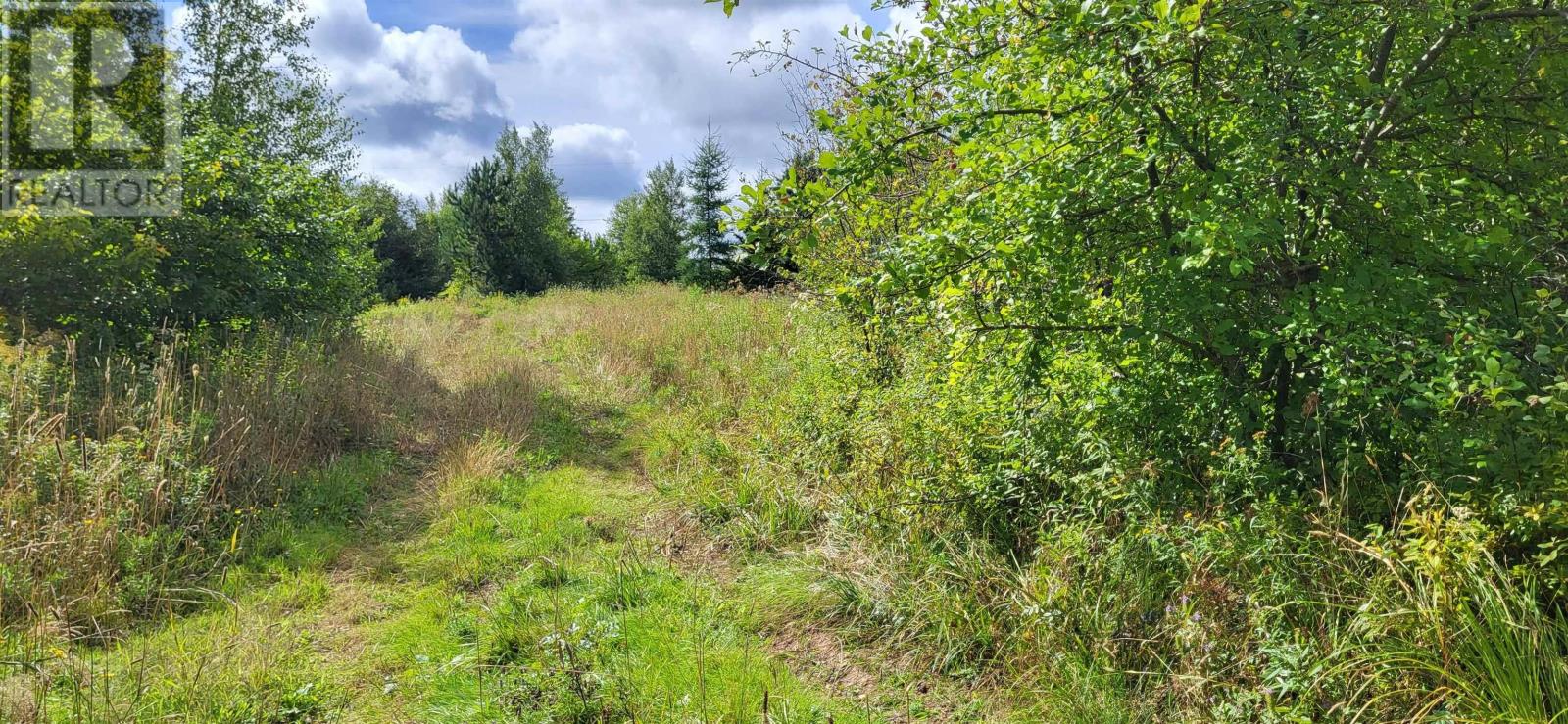 Lot 09-M2 Cooper Road, French River, Nova Scotia  B0K 1V0 - Photo 5 - 202221717