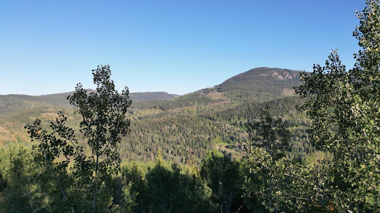 Lot 3 Highway 3b, Rossland, British Columbia  V0G 1Y0 - Photo 47 - 2465879